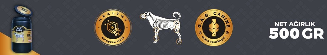 Promama | Gag Canine Eklem Desteği 500 GR
