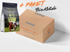 Promama Cynergy Mini - Küçük Irk Yetişkin Maması 1,5 Kg.x4