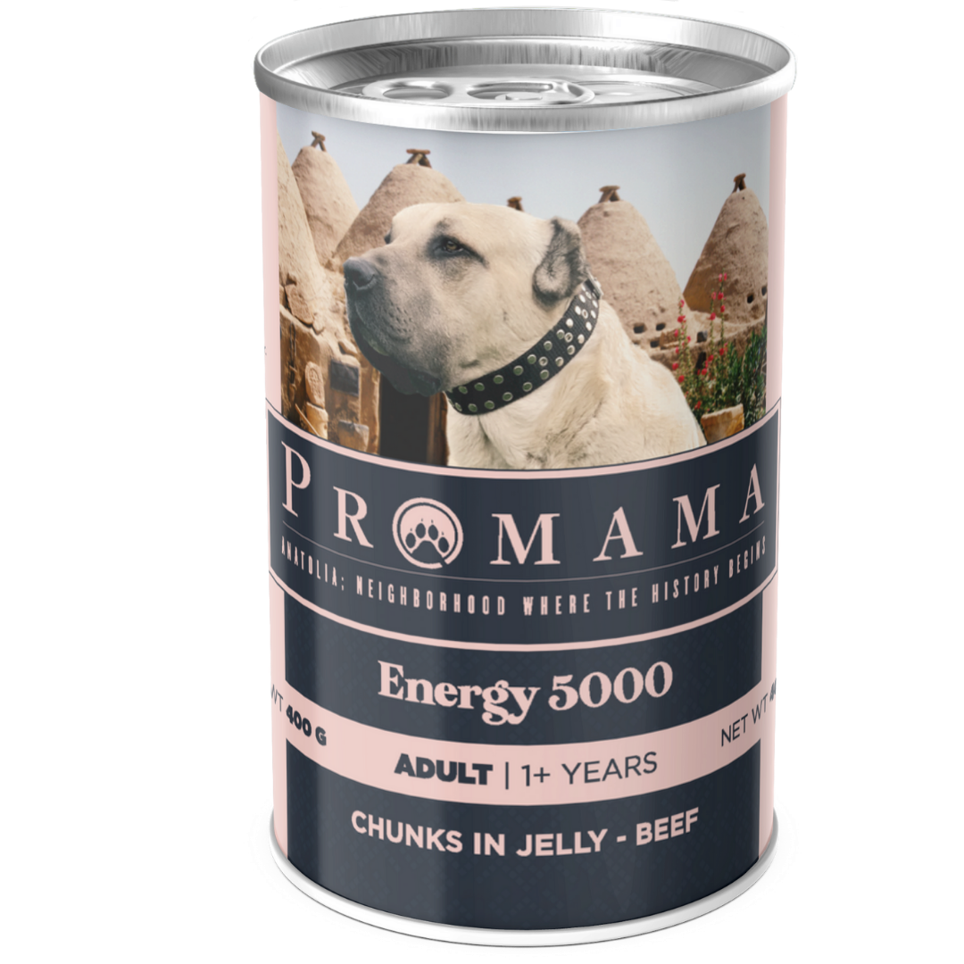 Promama Energy 5000 Yetişkin Biftekli Yaş Konserve Köpek Maması 400 GR 12'lı Koli