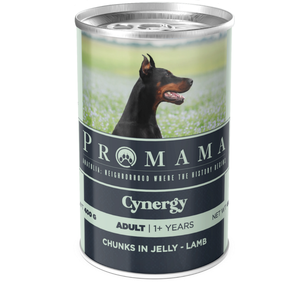 Promama Cynergy  Kuzu Etli Yaş Konserve Yetişkin Köpek Maması 400 GR 12'lı Koli
